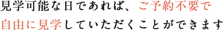 見学可能な日であれば、ご予約不要で自由に見学していただくことができます。